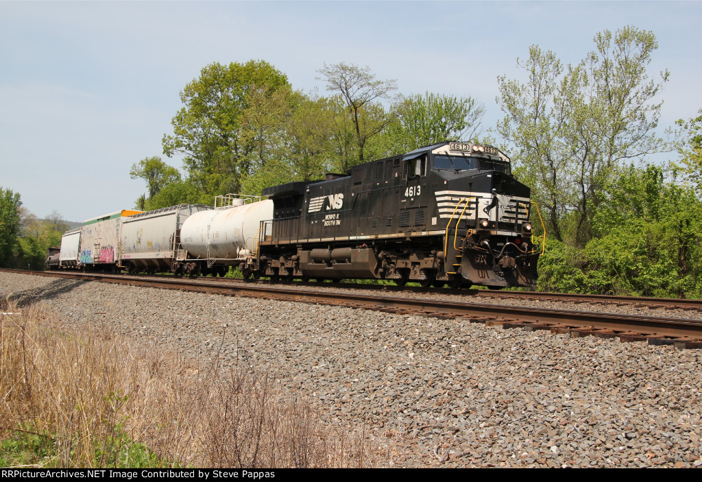 NS 4613